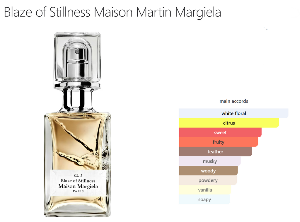 BLAZE OF STILLNESS Inspired by MAISON MARGIELA | FragBar